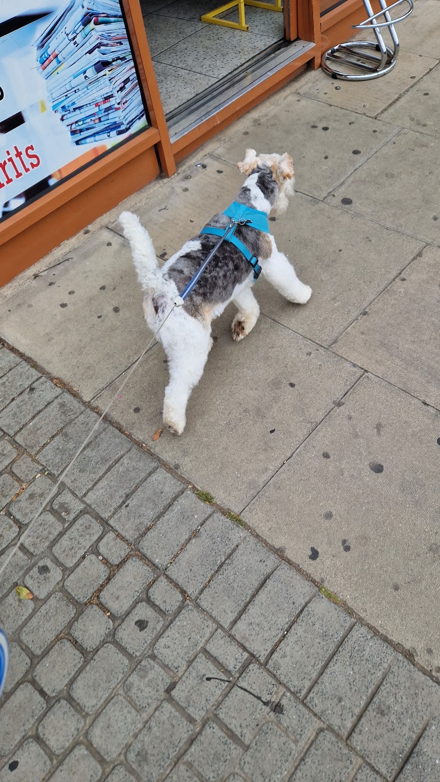 Hairy Hounds, Pet and Garden in Wanstead London